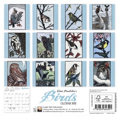Chris Pendleton's Birds Mini Wall calendar 2022 (Art Calendar) (Calendar)