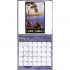 2022 Vintage Travel Posters Wall Calendar (Calendar)