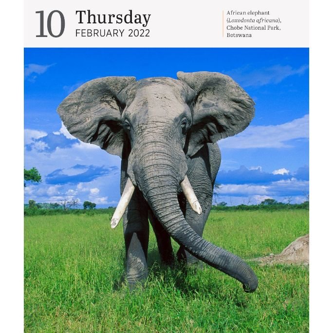 2022 Nature PageADay Gallery by Workman Calendars Waterstones