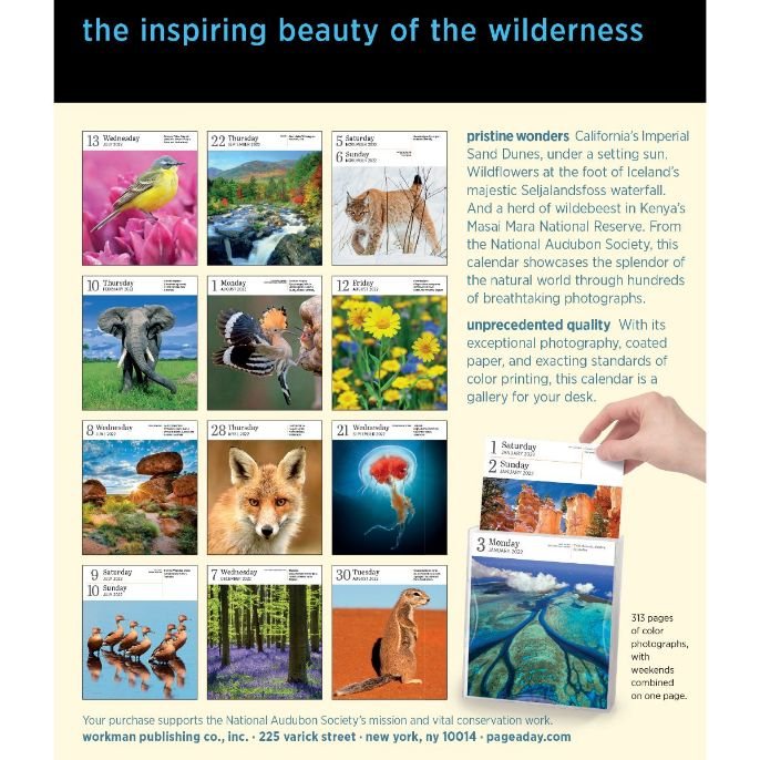 2022 Nature Page-A-Day Gallery by Workman Calendars | Waterstones