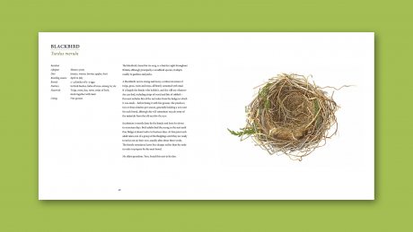 Nests (Hardback)
