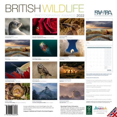 2022 British Wildlife Wall Calendar (Calendar)