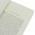 River Kings: The Vikings from Scandinavia to the Silk Roads (Paperback)