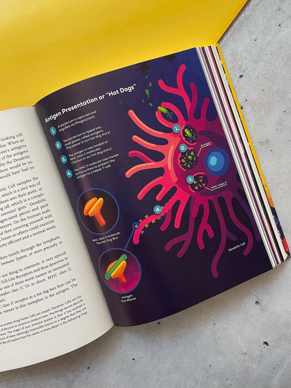 Immune by Philipp Dettmer Waterstones