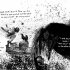 When Shadows Fall (Hardback)