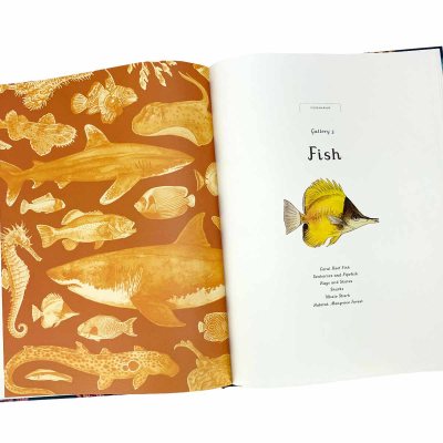 Oceanarium - Welcome To The Museum (Hardback)