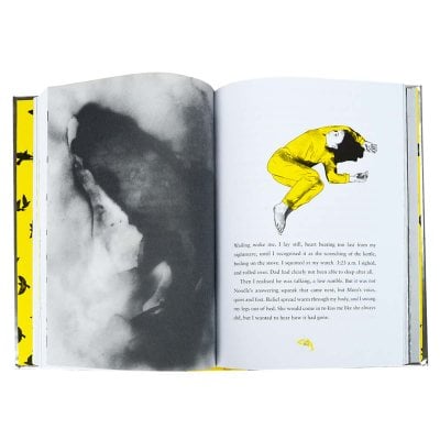 Julia and the Shark (Hardback)