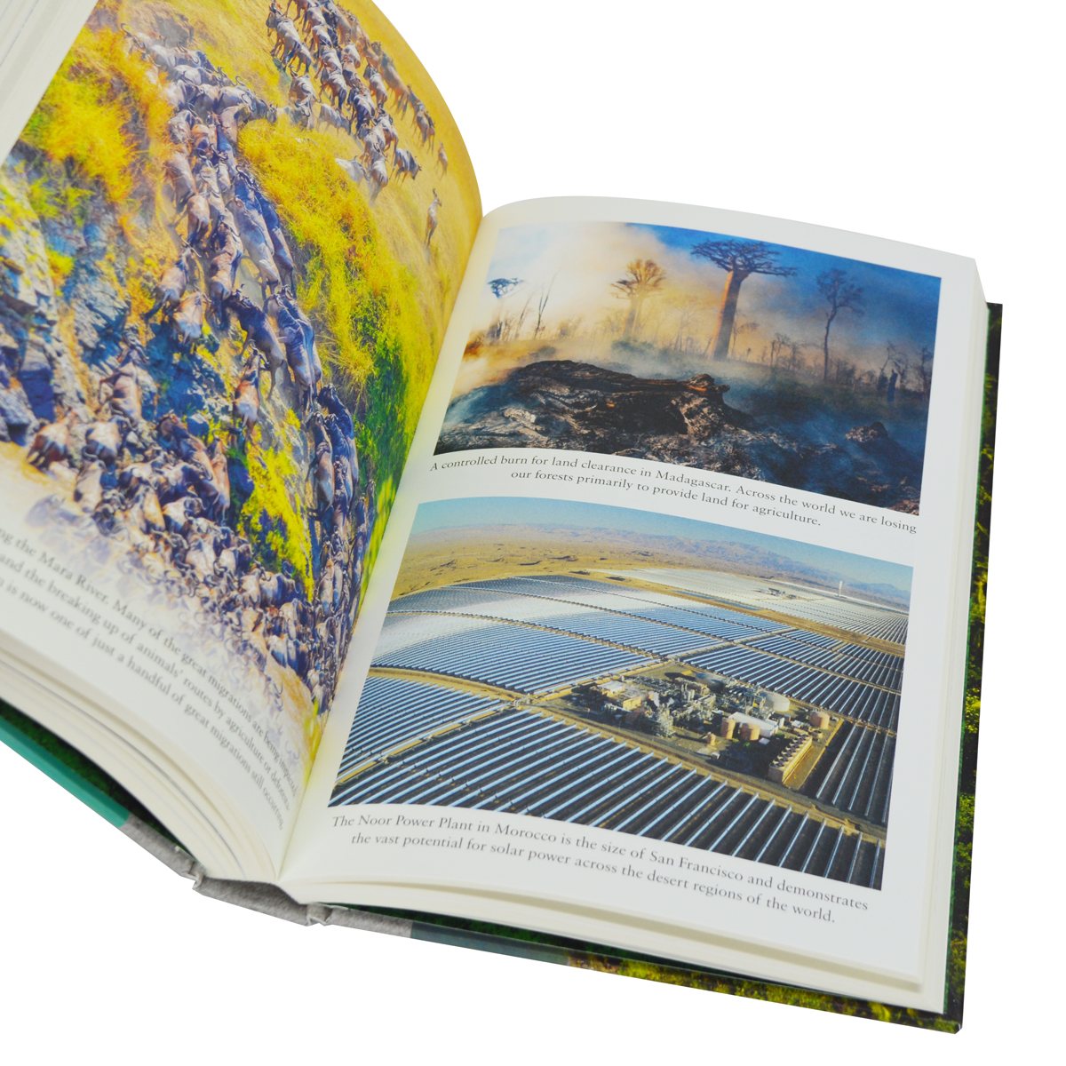 Butfield Earthshot by Colin Butfield, Jonnie Hughes | Waterstones