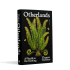 Otherlands: A World in the Making - A Sunday Times bestseller (Hardback)