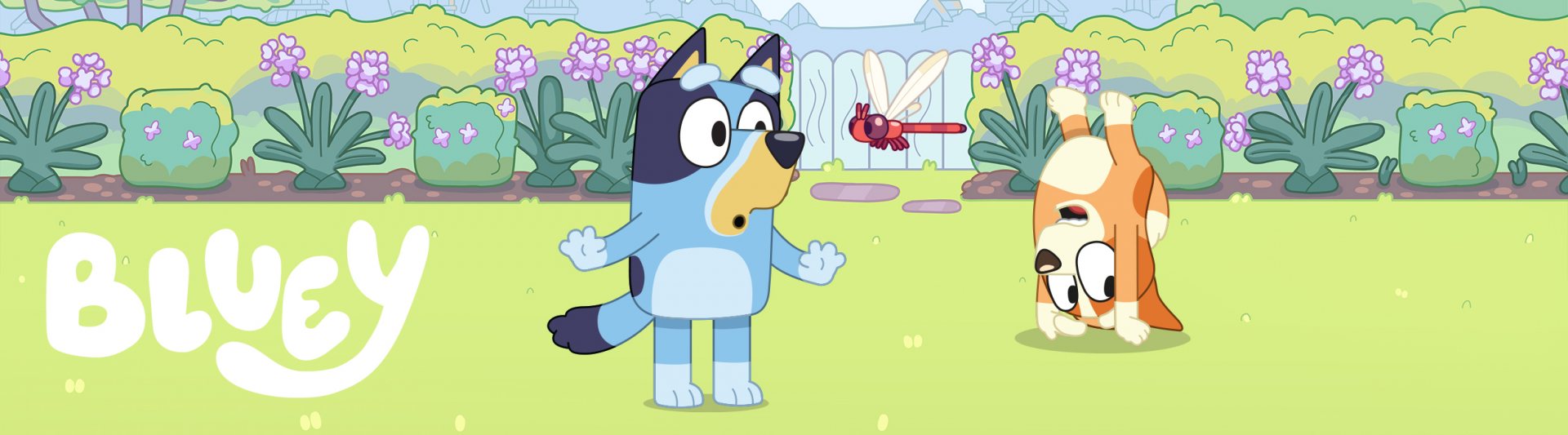 Bluey