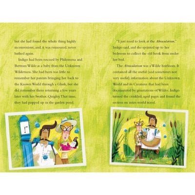 Indigo Wilde and the Unknown Wilderness: Book 2 (Hardback)