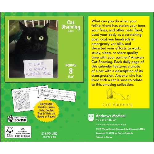 2023 Cat Shaming Boxed Calendar by Pedro Andrade Waterstones