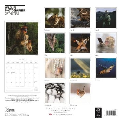 2023 Wildlife Photographer Of The Year Wall Calendar | Waterstones