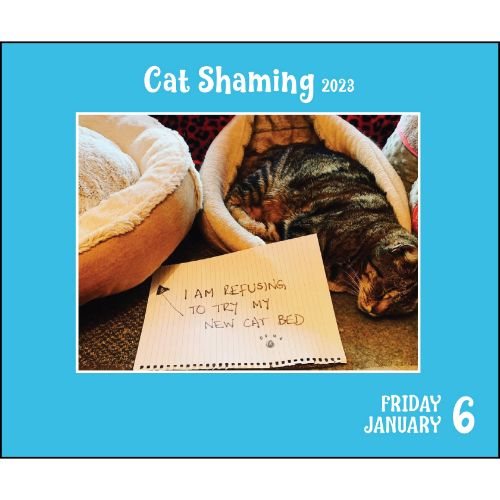 2023 Cat Shaming Boxed Calendar by Pedro Andrade Waterstones