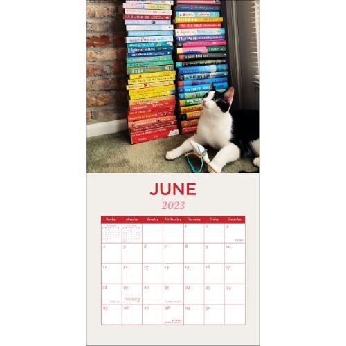 Cats And Books Calendar 2025 