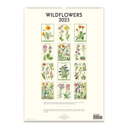 2023 Wildflowers A3 Wall Calendar | Waterstones