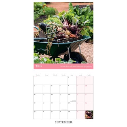 2023 Rhs Gardens Wall Calendar Env Waterstones