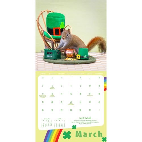 2023 Secret Life Of Squirrels Mini Wall Calendar Waterstones