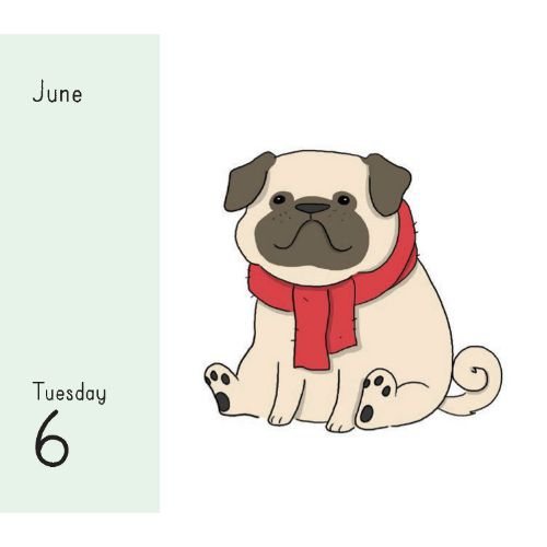 2023 Liz Climo Boxed Calendar By Liz Climo Waterstones