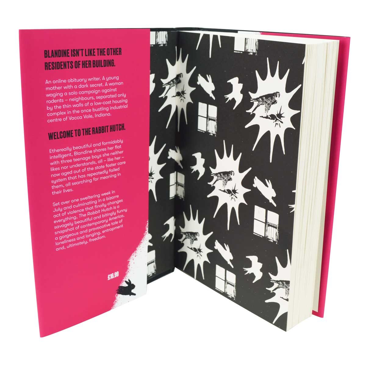 The Rabbit Hutch by Tess Gunty Waterstones