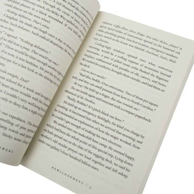 Bewilderment (Paperback)