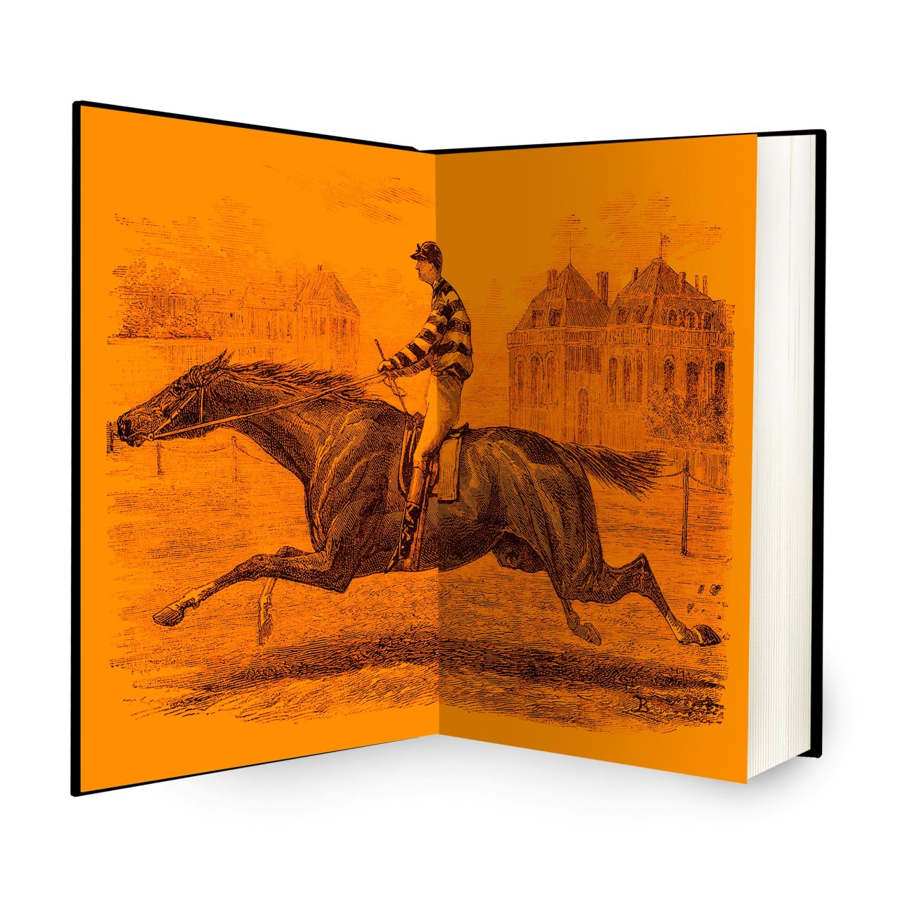 Normal Rules Don't Apply by Kate Atkinson Waterstones