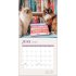 Cats & Books 2024 Wall Calendar (Calendar)
