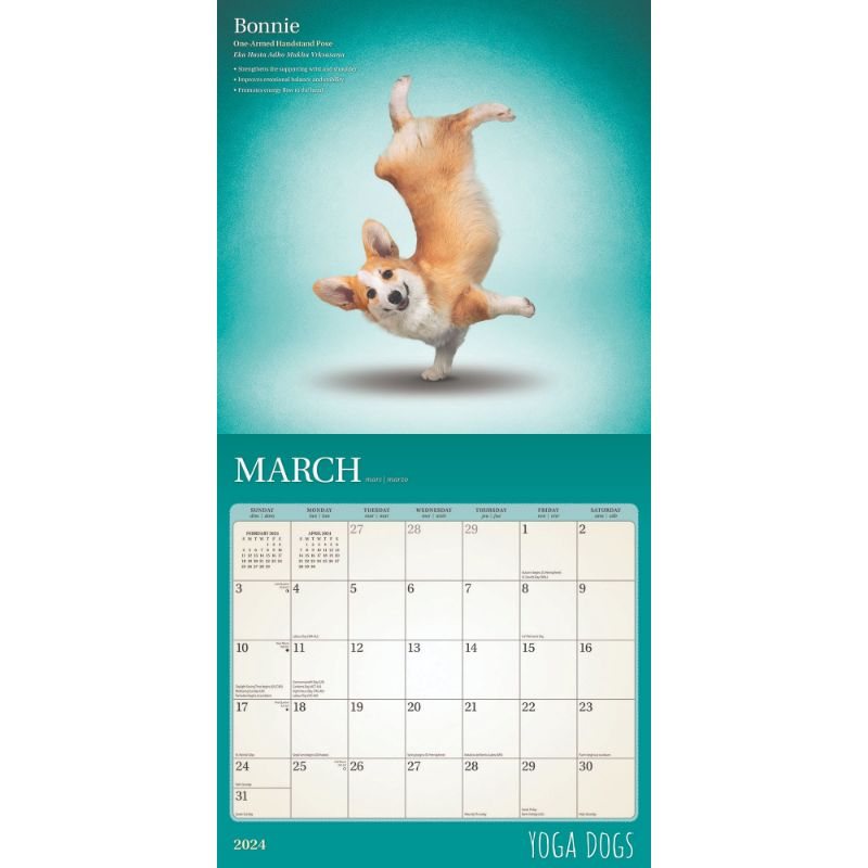 2024 Yoga Dogs Calendars | Waterstones