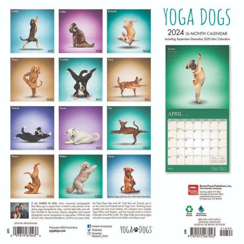 2024 Yoga Dogs Calendars Waterstones