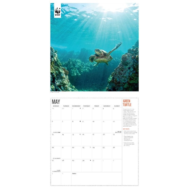 2024 WWF Oceans Wall Calendar | Waterstones