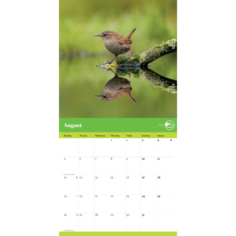 2024 Rspb Garden Birds Wall Calendar Waterstones