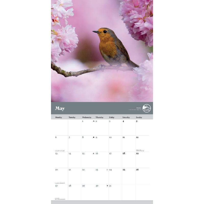2024 Rspb Garden Birds Wall Calendar Waterstones