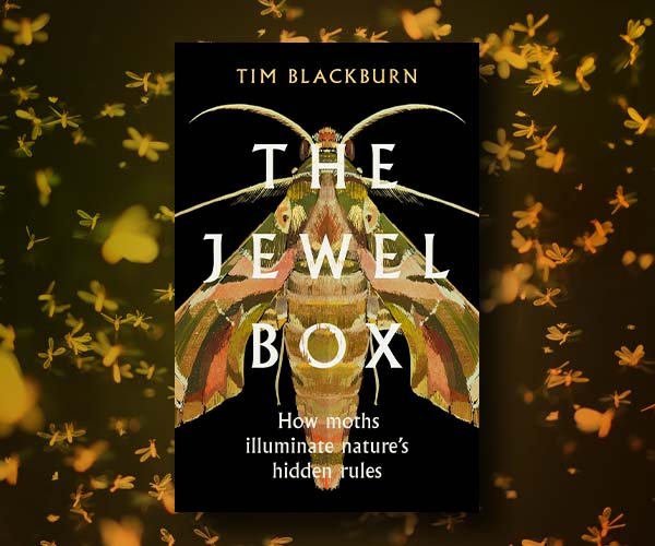 Tim Blackburn on Exploring Nature Wherever You Are