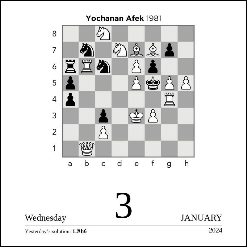 Chess 2024 DaytoDay Calendar by American Chess Magazine Waterstones