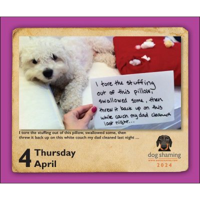 Dog Shaming 2024 Day-to-Day Calendar (Calendar)
