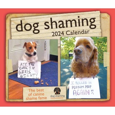 Dog Shaming 2024 Day-to-Day Calendar (Calendar)