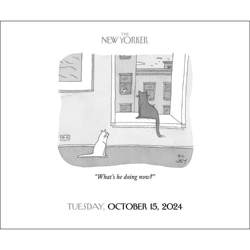 New Yorker Calendar 2024 Page A Day Illa Ranice