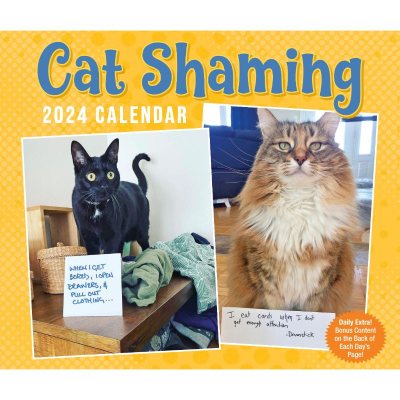 Cat Shaming 2024 Day-to-Day Calendar (Calendar)