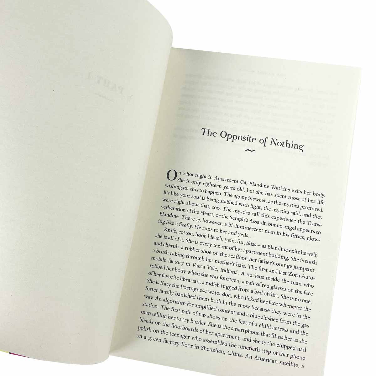 The Rabbit Hutch by Tess Gunty Waterstones