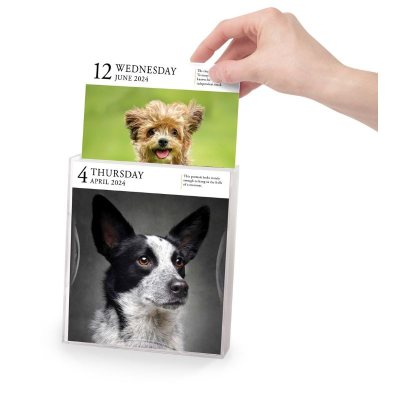 Dog Page-A-Day Gallery Calendar 2024: An Elegant Canine Celebration (Calendar)
