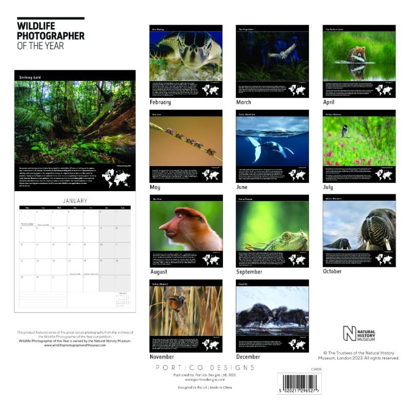 2024 Wildlife Photographer Of The Year Wall Calendar Waterstones