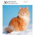 Cat Page-A-Day Gallery Calendar 2024: A Delightful Gallery of Cats for Your Desktop (Calendar)