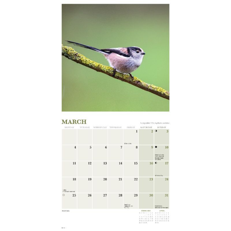 2024 Garden Birds Mini Wall Calendar Waterstones
