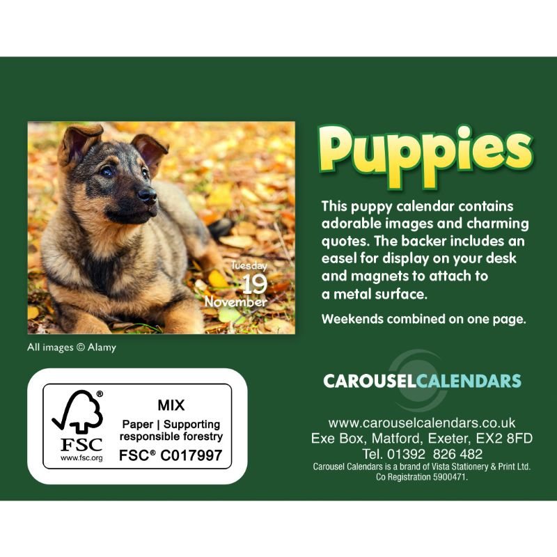 2024 Puppies Mini Boxed Calendar Waterstones