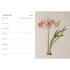 RHS Desk Diary 2024 (Hardback)