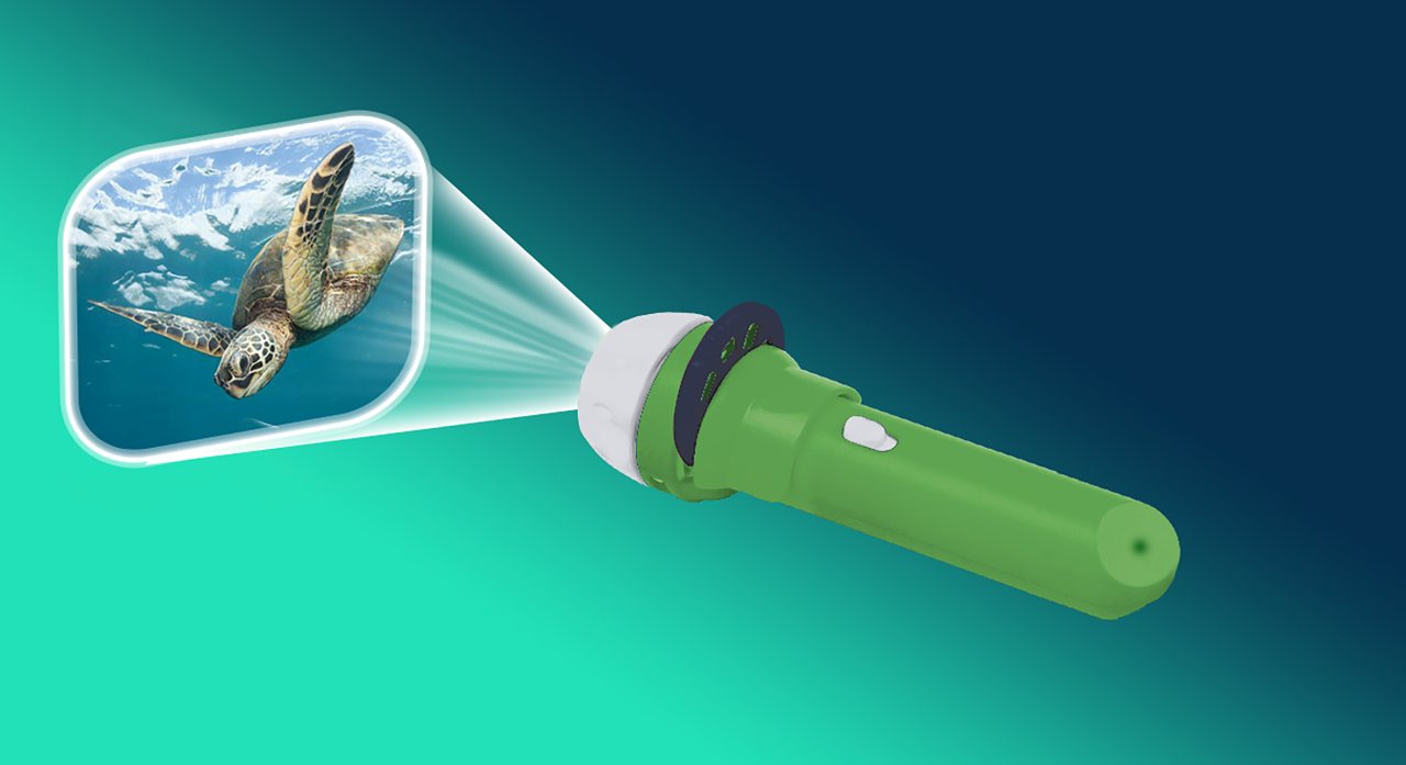 Nhm Sea Creatures Torch | Waterstones
