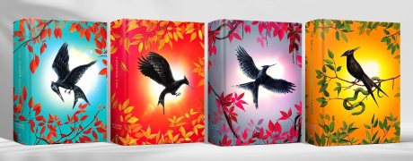 Product: Hunger Games 4 Book Boxed Set - Pack - School Essentials