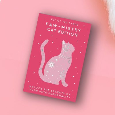 Paw Mistry Cat Edition | Waterstones