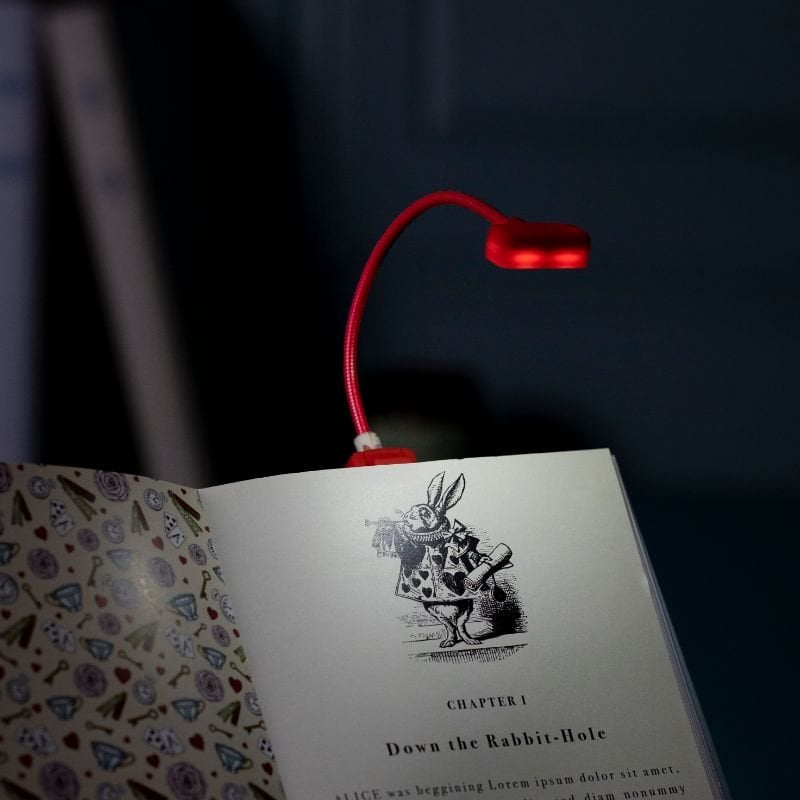 book lovers reading light alice