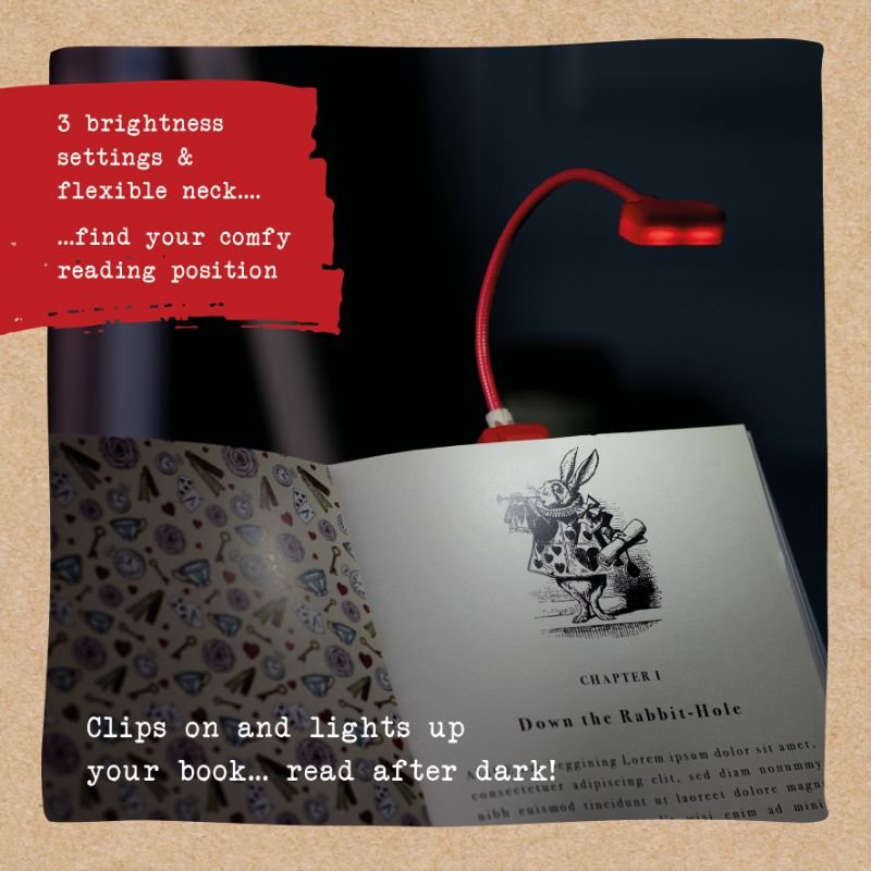 Book Lover's Reading Light Alice Waterstones